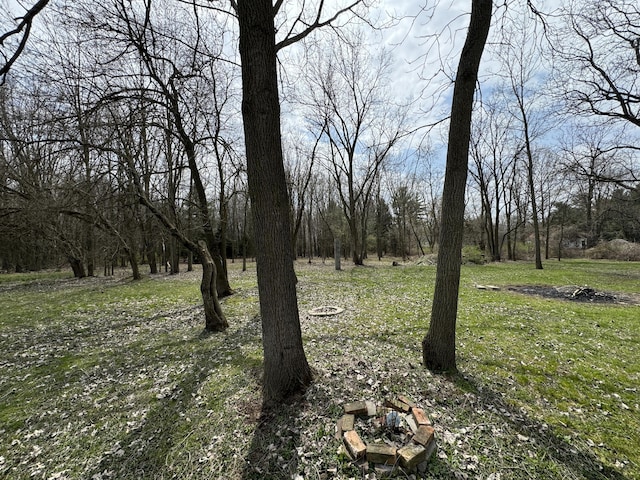 8066 Talladay Rd, Whittaker, MI 48190 - view of landscape