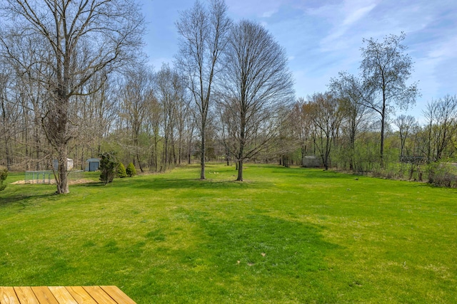view of yard with an outdoor structure and a shed