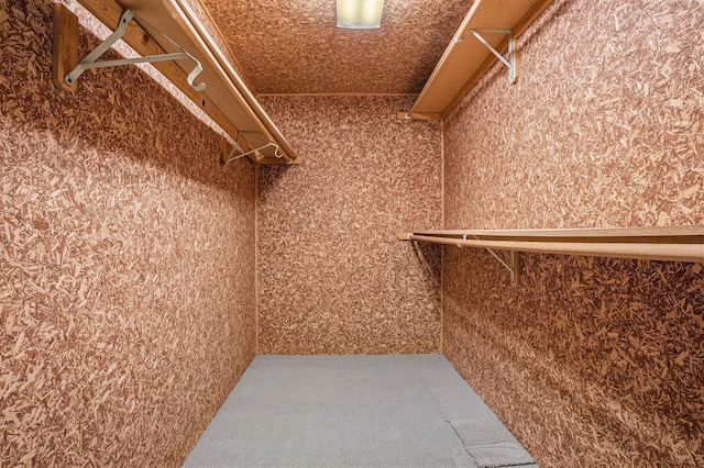 spacious closet with carpet floors