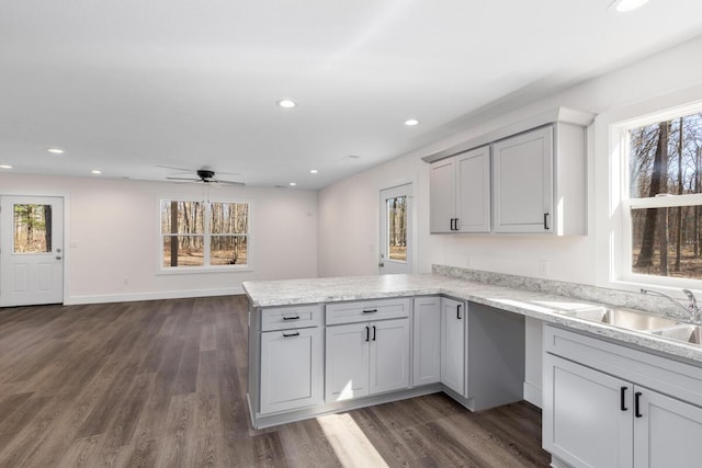 8995 Chippewa Trl, Howard City, MI 49329 - kitchen featuring a peninsula, a healthy amount of sunlight, dark wood-type flooring, and ceiling fan