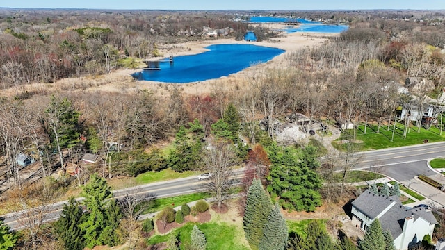 birds eye view of property with a water view and a forest view