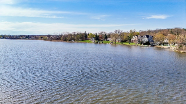 1391 Woodbridge Ct, Wixom, MI 48393 - view of water feature