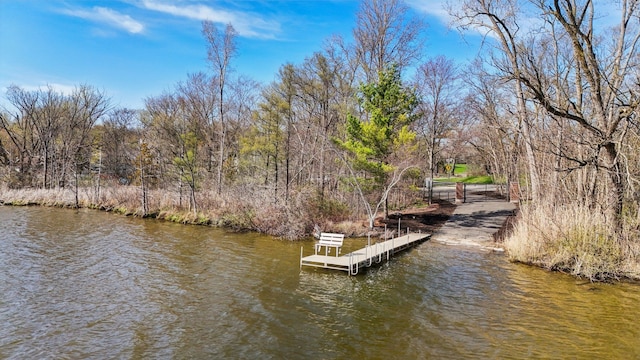 1391 Woodbridge Ct, Wixom, MI 48393 - dock area with a water view
