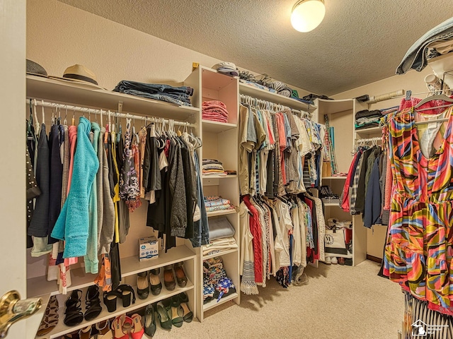 walk in closet featuring carpet flooring