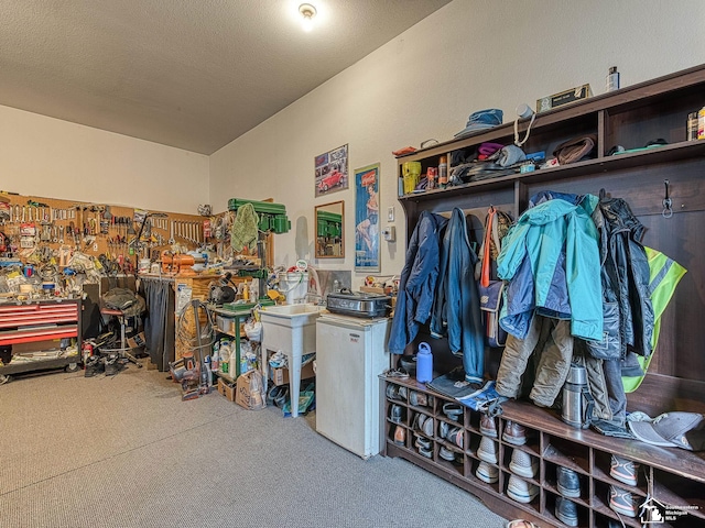 interior space with carpet flooring and a workshop area