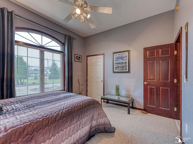 bedroom featuring baseboards, a ceiling fan, carpet flooring, and multiple windows
