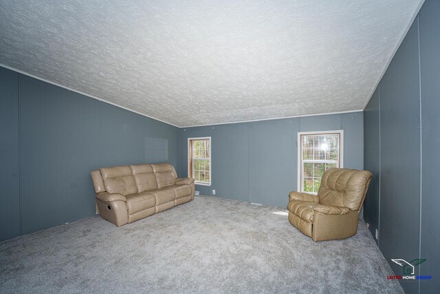 carpeted living room with a textured ceiling