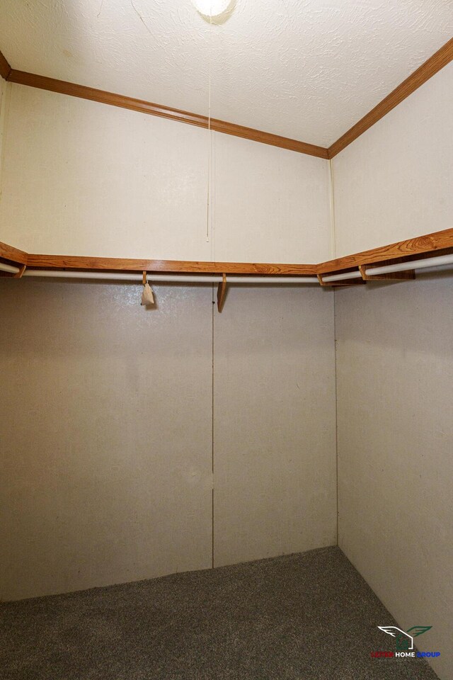 walk in closet with carpet floors