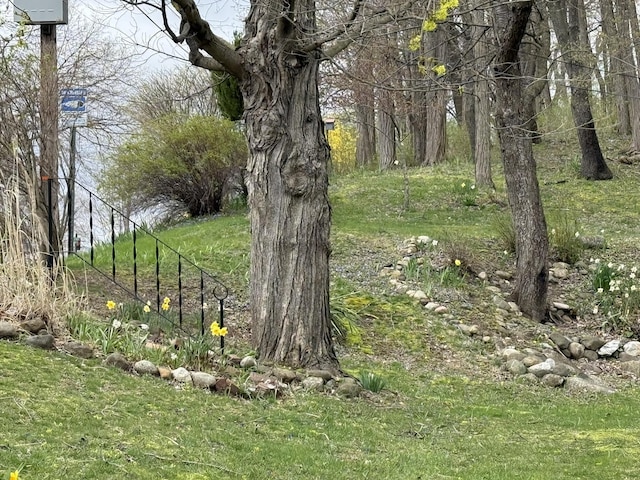 view of landscape