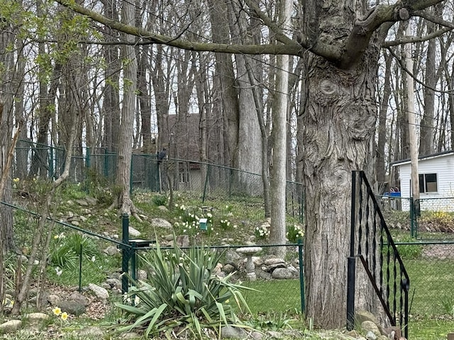 view of local wilderness