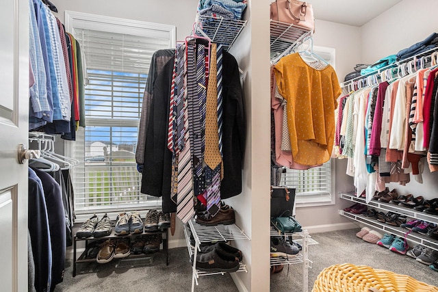 spacious closet with carpet