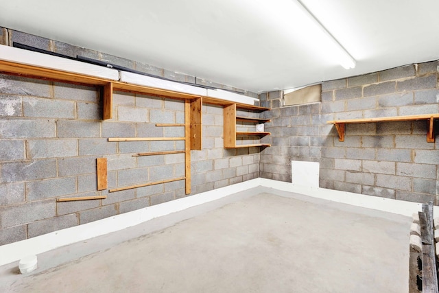 unfinished basement featuring concrete block wall