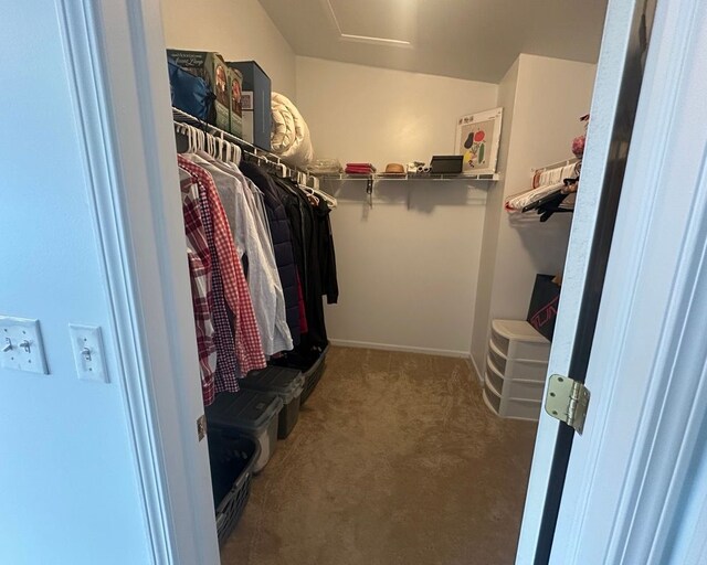 walk in closet with carpet flooring