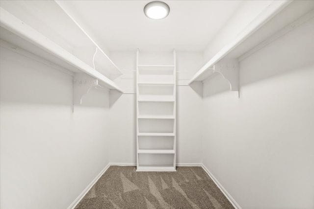 walk in closet featuring carpet