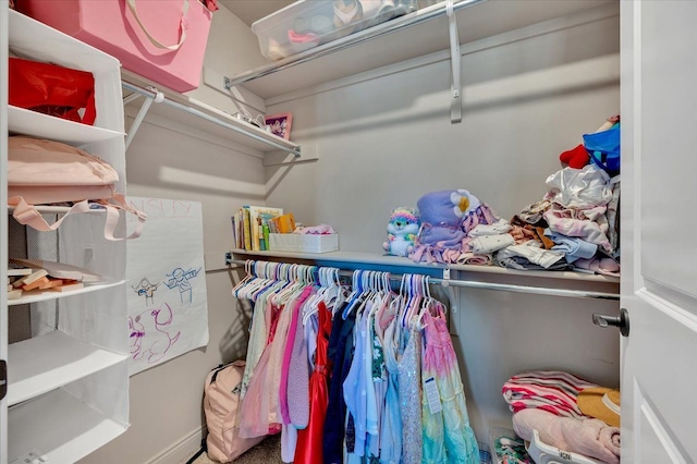view of walk in closet