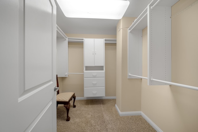 walk in closet featuring carpet flooring