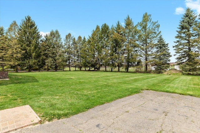 view of yard