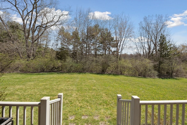 11613 Butler Rd, Willis, MI 48191 - view of yard