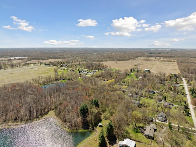 11613 Butler Rd, Willis, MI 48191 - drone / aerial view featuring a forest view and a water view
