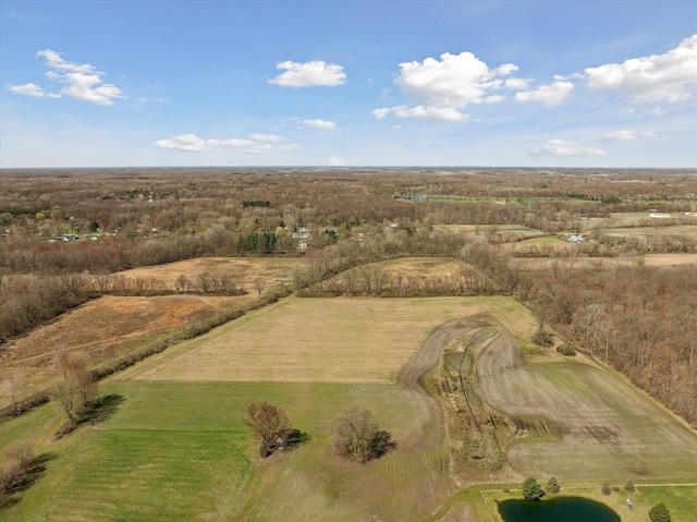 11613 Butler Rd, Willis, MI 48191 - aerial view