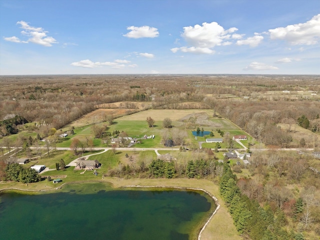 11613 Butler Rd, Willis, MI 48191 - drone / aerial view featuring a forest view and a water view