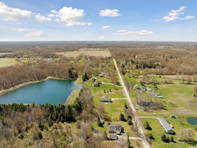 11613 Butler Rd, Willis, MI 48191 - bird's eye view featuring a view of trees and a water view