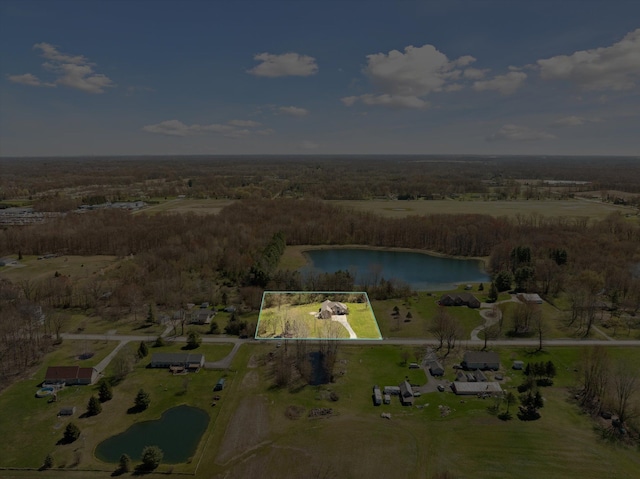 11613 Butler Rd, Willis, MI 48191 - birds eye view of property with a water view