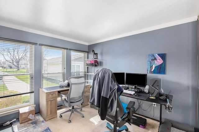 home office with light carpet, a wealth of natural light, and ornamental molding