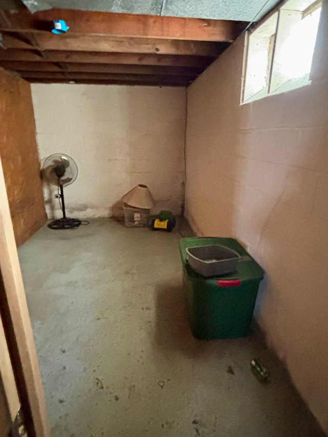14441 Carlisle St, Detroit, MI 48205 - view of below grade area