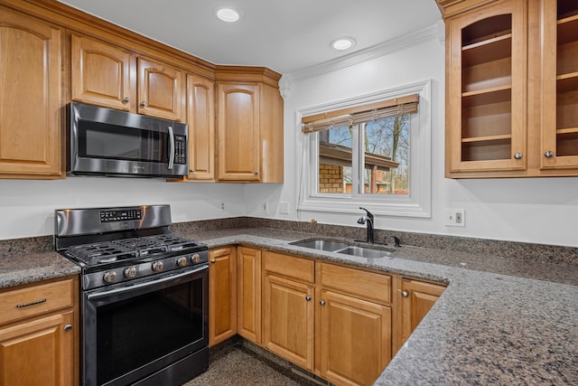 kitchen with crown molding, appliances with stainless steel finishes, a sink, granite finish floor, and recessed lighting