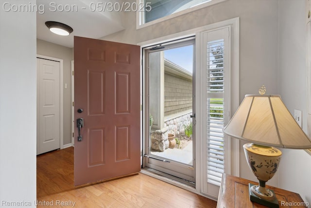 1317 Peppergrove Dr, Brighton, MI 48116 - foyer with plenty of natural light and light wood finished floors