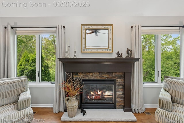 1317 Peppergrove Dr, Brighton, MI 48116 - detailed view of a fireplace, baseboards, and wood finished floors