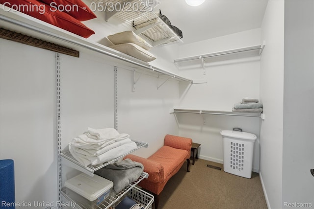 1317 Peppergrove Dr, Brighton, MI 48116 - spacious closet featuring carpet