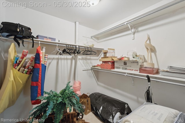 1317 Peppergrove Dr, Brighton, MI 48116 - view of spacious closet