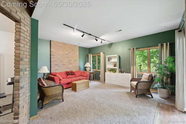 1317 Peppergrove Dr, Brighton, MI 48116 - living area featuring track lighting, healthy amount of natural light, and carpet flooring