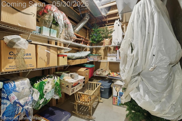1317 Peppergrove Dr, Brighton, MI 48116 - view of storage area
