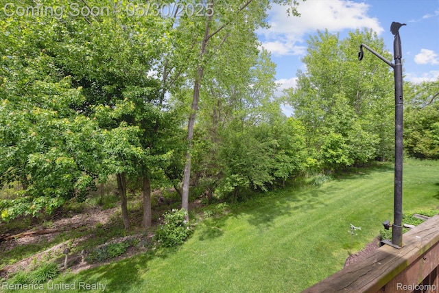 1317 Peppergrove Dr, Brighton, MI 48116 - view of green lawn