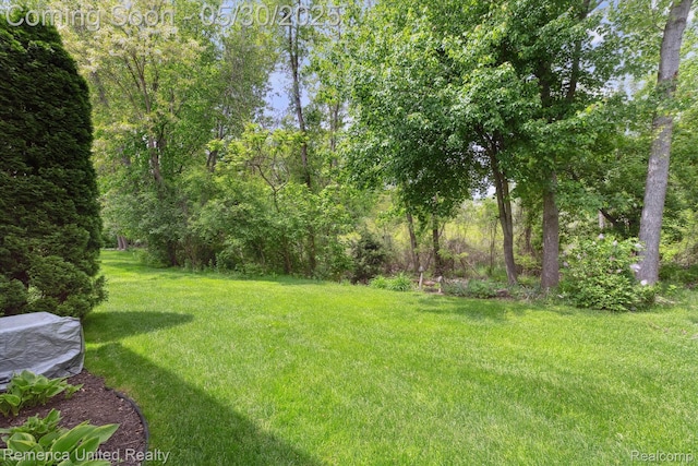 1317 Peppergrove Dr, Brighton, MI 48116 - view of green lawn