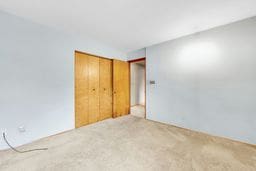 unfurnished bedroom featuring carpet flooring and a closet