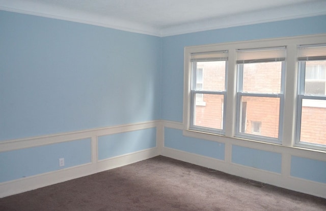 empty room featuring carpet floors and ornamental molding