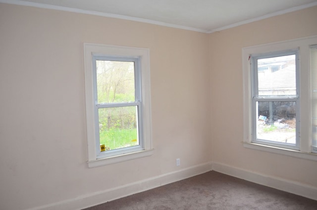 carpeted spare room featuring baseboards and ornamental molding