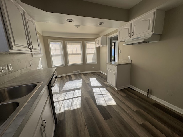 22051 Firwood Ave, Eastpointe, MI 48021 - kitchen featuring under cabinet range hood, a sink, dark wood-type flooring, baseboards, and white cabinetry