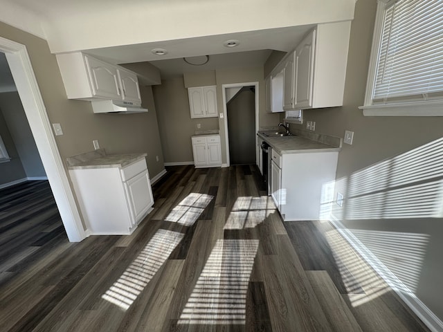 22051 Firwood Ave, Eastpointe, MI 48021 - kitchen featuring white cabinets, dark wood-style flooring, a sink, and light countertops