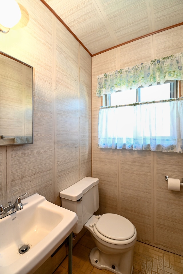 bathroom featuring toilet and a sink
