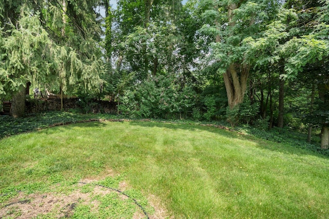 3091 Warwick Rd, Ann Arbor, MI 48104 - view of yard
