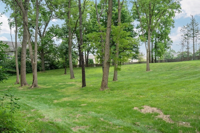 3091 Warwick Rd, Ann Arbor, MI 48104 - view of yard