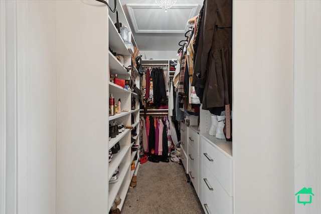 spacious closet with carpet