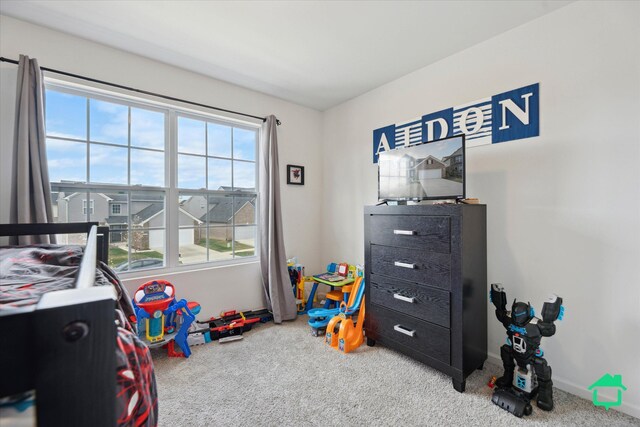 rec room with carpet floors