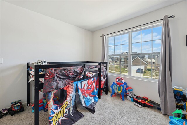 bedroom featuring carpet