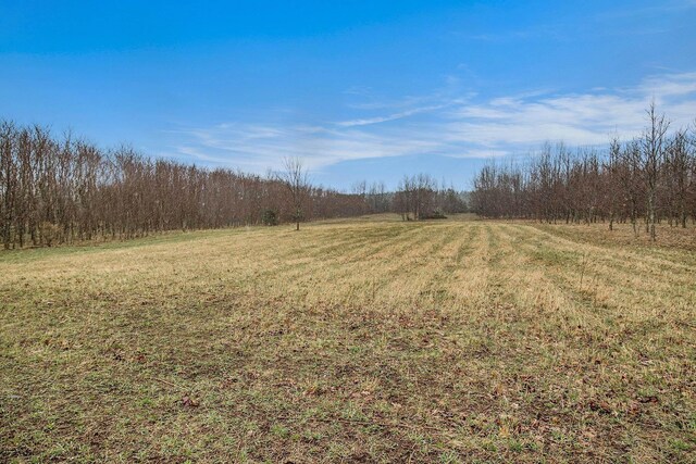 8110 Ames Rd, Bear Lake, MI 49614